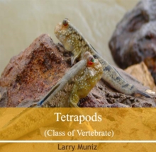 Tetrapods (Class of Vertebrate)