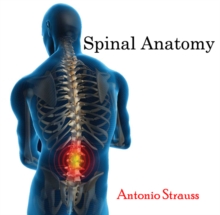 Spinal Anatomy