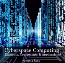 Cyberspace Computing (Elements, Components & Applications)