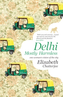 Delhi : Mostly Harmless-One woman's vision of the city