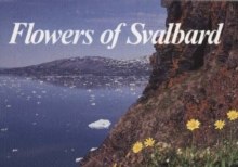 Flowers of Svalbard