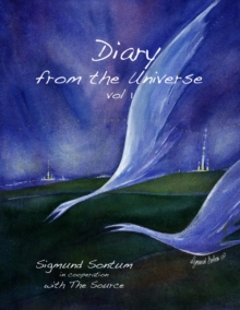 Diary from the Universe