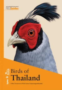 Alada Books, S.L. Birds Of Thailand