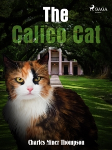 The Calico Cat