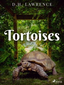 Tortoises