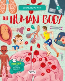 QUESTIONS ANSWERS HUMAN BODY