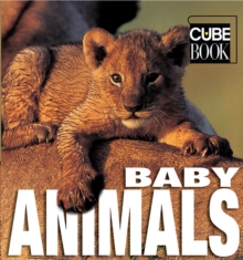 Baby Animals, Hardback Book Baby Animals, Hardback Book