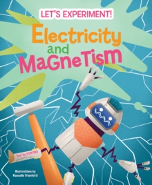 Electricity and Magnetism : Let's Experiment!