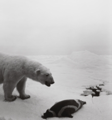 Hiroshi Sugimoto: Dioramas, Hardback Book Hiroshi Sugimoto: Dioramas, Hardback Book