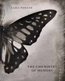 The Chemistry of Memory - Image 5