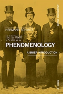 New Phenomenology : A Brief Introduction, Paperback / softback Book New Phenomenology : A Brief Introduction, Paperback / softback Book