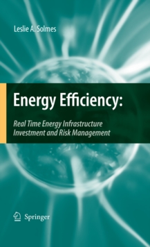 Energy Efficiency : Real Time Energy Infrastructure Investment and Risk Management