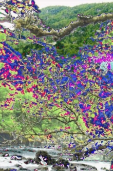 Integrated Watershed Management : Perspectives and Problems