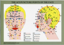 Acupuncture Points of the Face -- A4, Poster Book Acupuncture Points of the Face -- A4, Poster Book