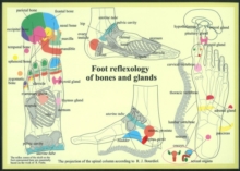 Foot Reflexology of Bones & Glands, Poster Book Foot Reflexology of Bones & Glands, Poster Book