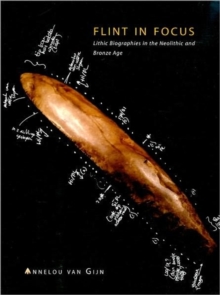 Flint in Focus, Paperback Book Flint in Focus, Paperback Book