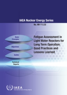 Fatigue Assessment in Light Water Reactors for Long Term Operation : Good Practices and Lessons Learned