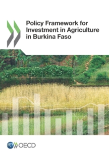 Policy Framework for Investment in Agriculture in Burkina Faso