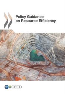 Policy Guidance on Resource Efficiency