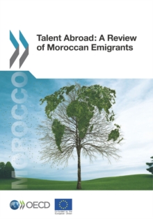 Talent Abroad: A Review of Moroccan Emigrants