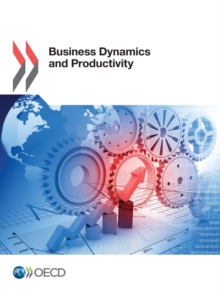 Business Dynamics and Productivity