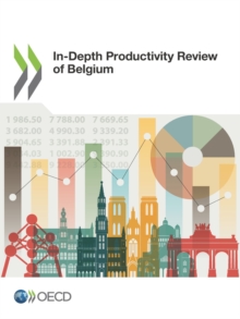 In-Depth Productivity Review of Belgium