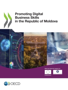 Promoting Digital Business Skills in the Republic of Moldova