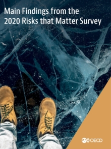 Main Findings from the 2020 Risks that Matter Survey