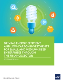 Driving Energy-Efficient and Low-Carbon Investments for Small and Medium-Sized Enterprises through the Finance Sector