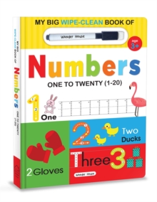 MY BIG WIPE & CLEAN BOOK OF NUMBERS FOR