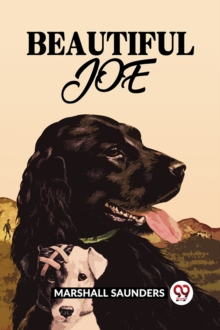 Beautiful Joe