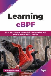 Learning eBPF : High performance observability, networking, and security programming on Linux