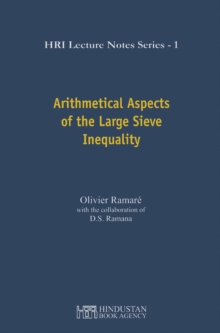 Arithmetical Aspects of the Large Sieve Inequality