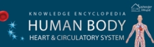 Human Body - Heart And Circulatory System: Knowledge Encyclopedia For Children