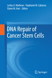 DNA Repair of Cancer Stem Cells