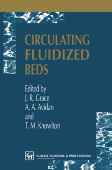 Circulating Fluidized Beds