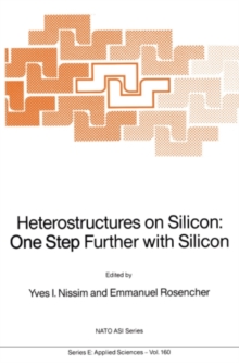 Heterostructures on Silicon: One Step Further with Silicon