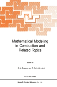 Mathematical Modeling in Combustion and Related Topics