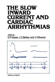 The Slow Inward Current and Cardiac Arrhythmias