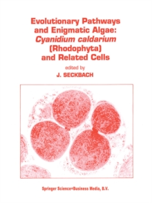 Evolutionary Pathways and Enigmatic Algae : Cyanidium caldarium (Rhodophyta) and Related Cells