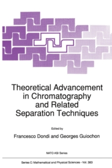 Theoretical Advancement in Chromatography and Related Separation Techniques