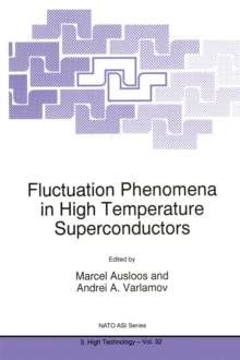 Fluctuation Phenomena in High Temperature Superconductors