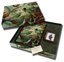 Wonders are Collectible : Taxidermy: The Beauty of Beetles, Bugs and Butterflies, Hardback Book Wonders are Collectible : Taxidermy: The Beauty of Beetles, Bugs and Butterflies, Hardback Book