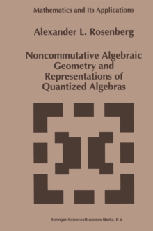 Noncommutative Algebraic Geometry and Representations of Quantized Algebras