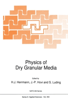 Physics of Dry Granular Media