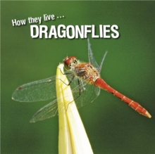 How they live... Dragonflies