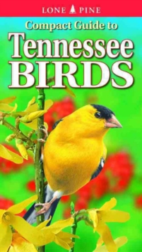 Compact Guide to Tennessee Birds, Paperback / softback Book Compact Guide to Tennessee Birds, Paperback / softback Book