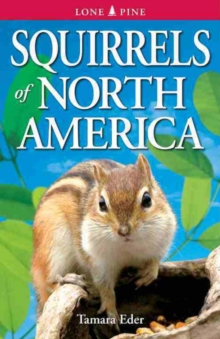 Squirrels of North America, Paperback / softback Book Squirrels of North America, Paperback / softback Book