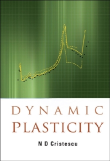 Dynamic Plasticity