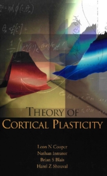 Theory Of Cortical Plasticity